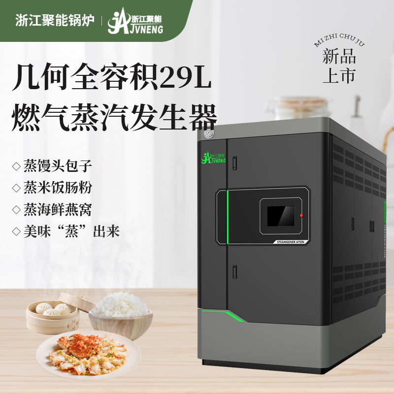 29L燃气蒸汽发生器