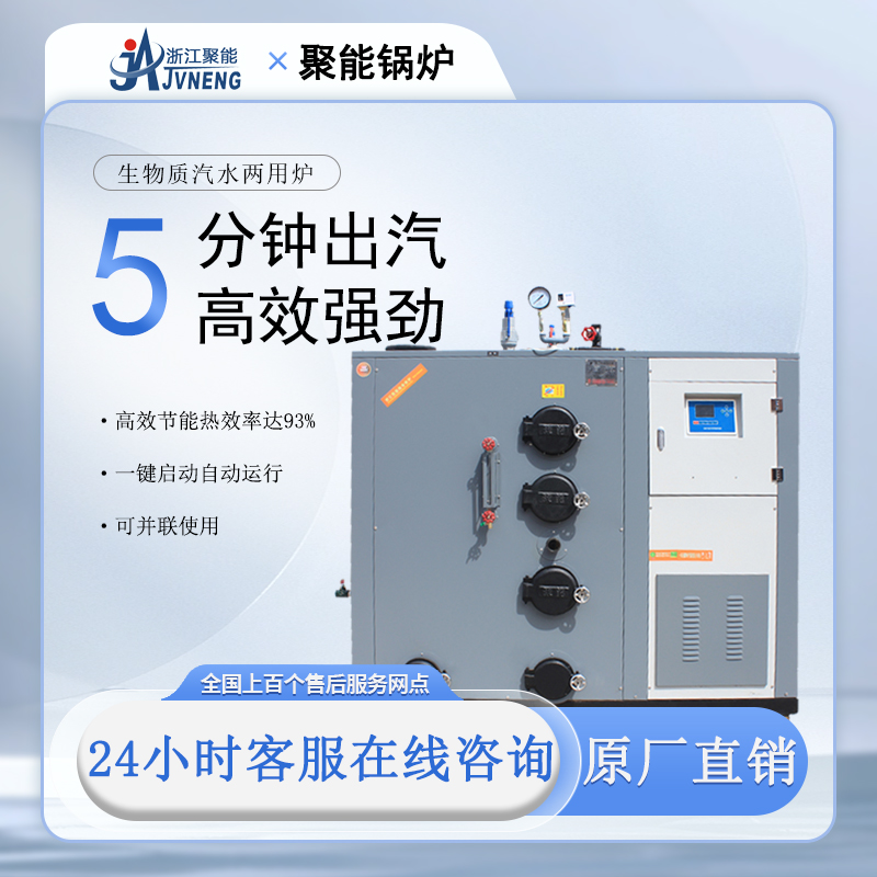 50-600kg生物质汽水两用炉
